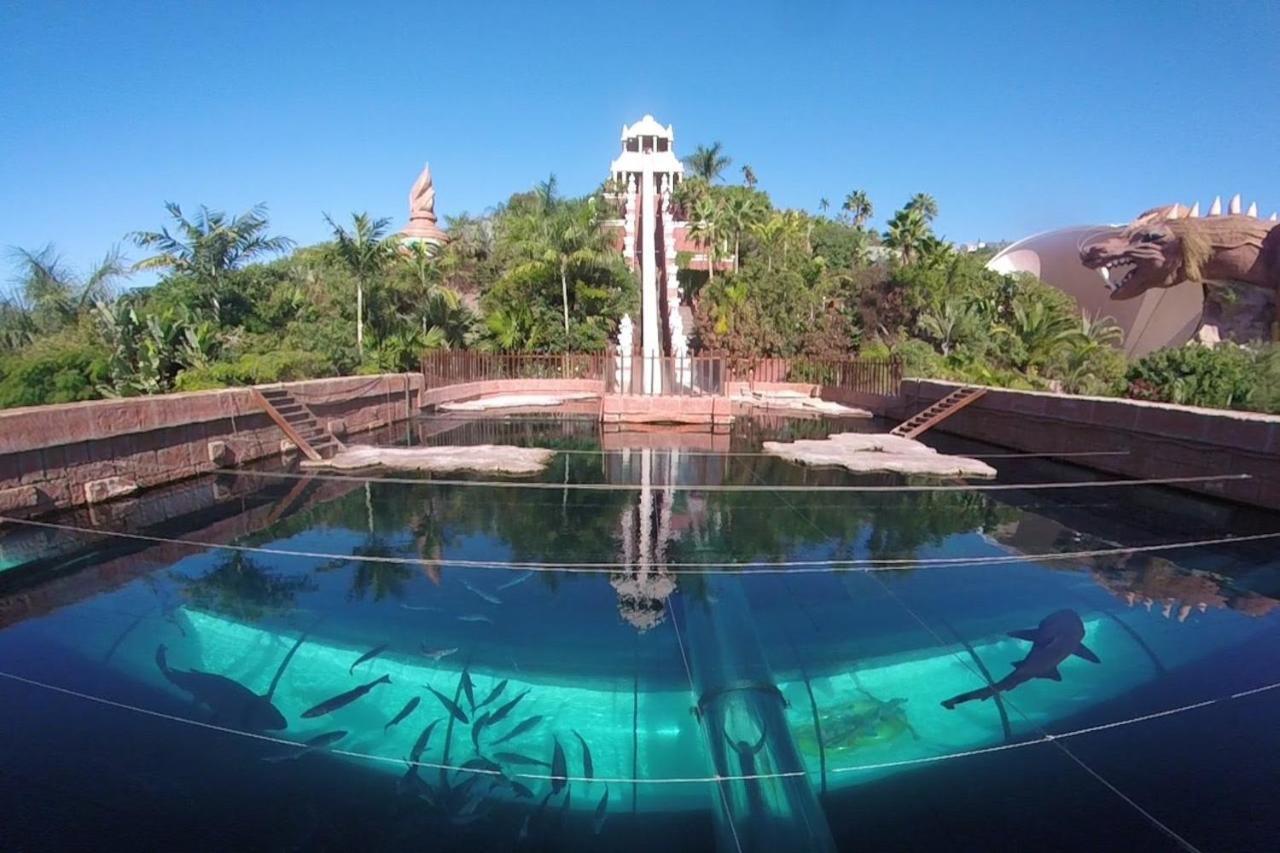 Ocean View Puerto Santiago Apartment By Dreamhomestenerife 푸에르토 데 산티아고 외부 사진